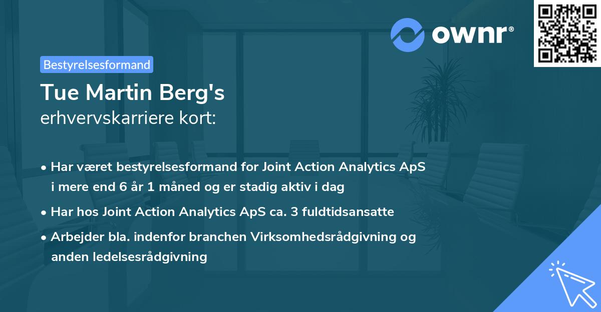 Tue Martin Berg's erhvervskarriere kort