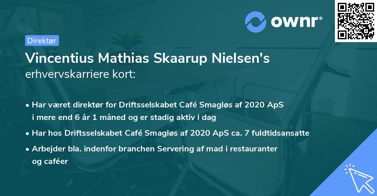 Vincentius Mathias Skaarup Nielsen's erhvervskarriere kort