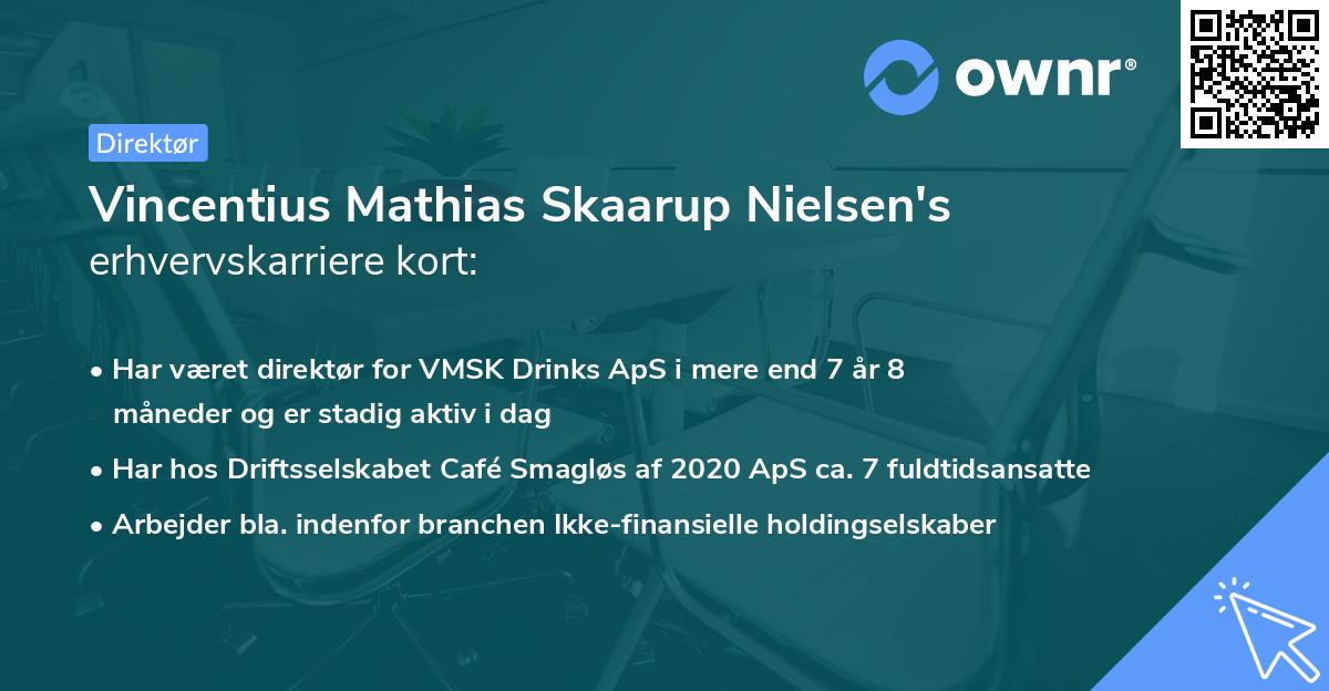 Vincentius Mathias Skaarup Nielsen's erhvervskarriere kort