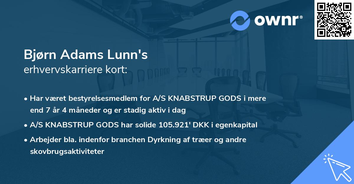 Bjørn Adams Lunn's erhvervskarriere kort