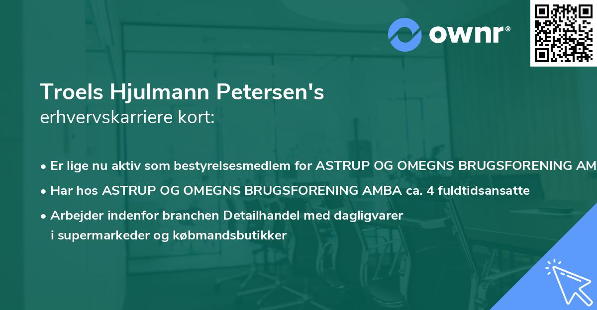 Troels Hjulmann Petersen's erhvervskarriere kort