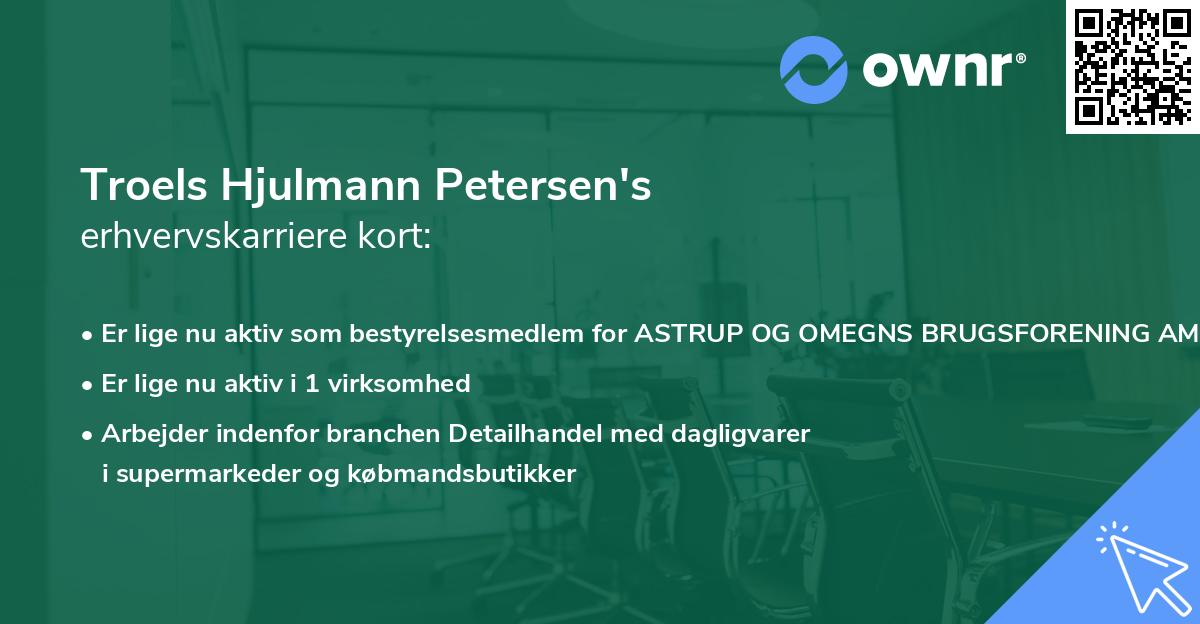 Troels Hjulmann Petersen's erhvervskarriere kort