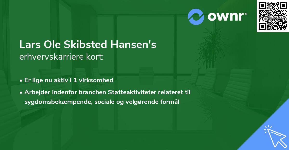 Lars Ole Skibsted Hansen's erhvervskarriere kort