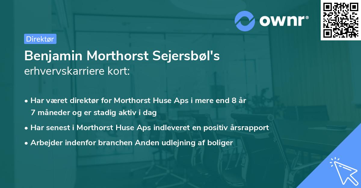 Benjamin Morthorst Sejersbøl's erhvervskarriere kort