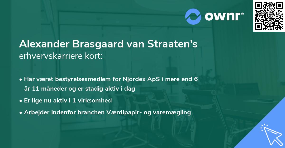 Alexander Brasgaard van Straaten's erhvervskarriere kort