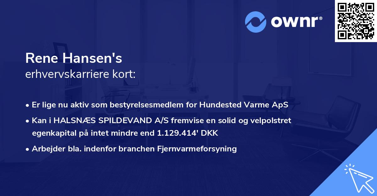 Rene Hansen's erhvervskarriere kort