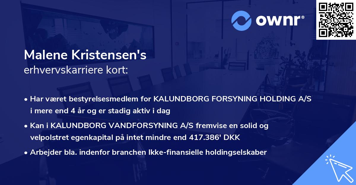 Malene Kristensen's erhvervskarriere kort