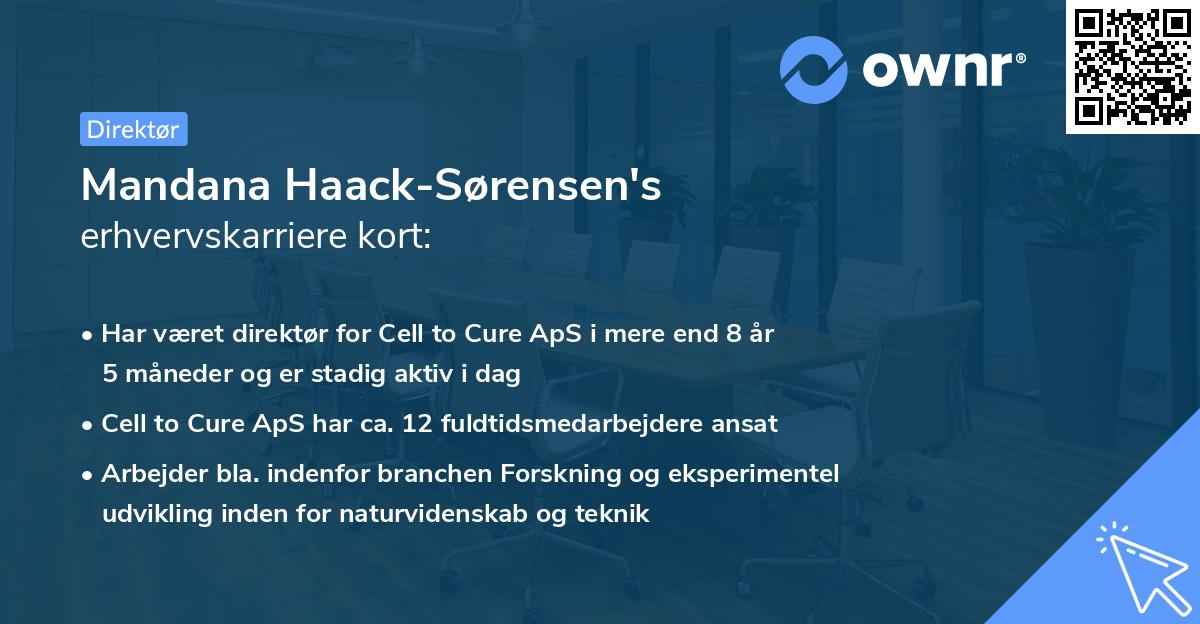 Mandana Haack-Sørensen's erhvervskarriere kort
