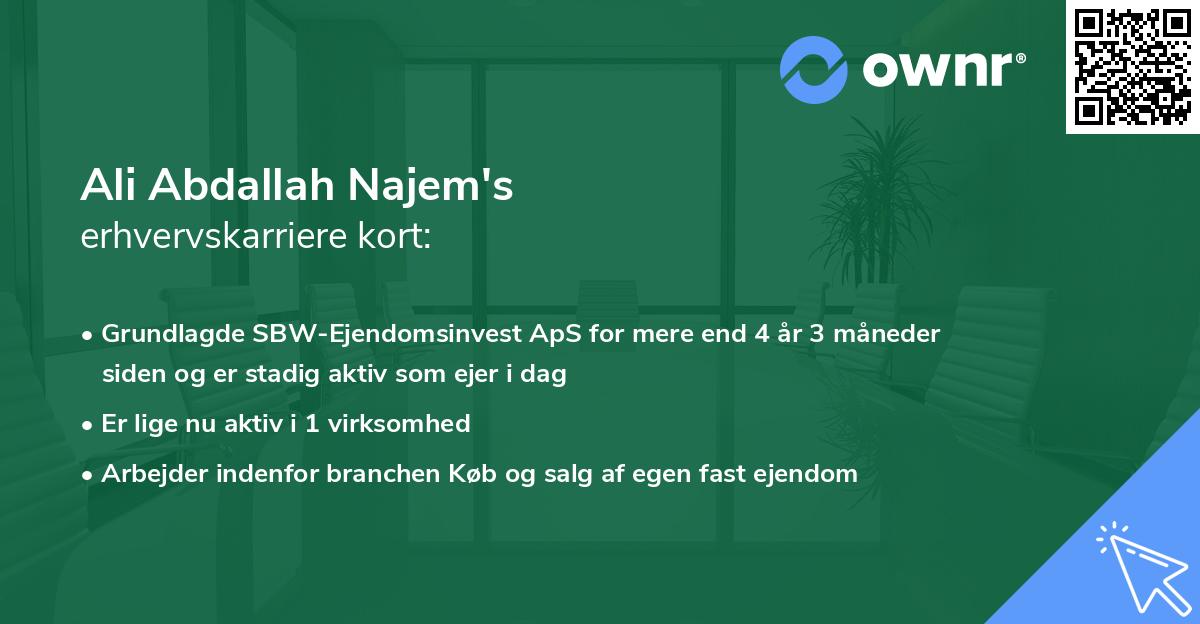 Ali Abdallah Najem's erhvervskarriere kort