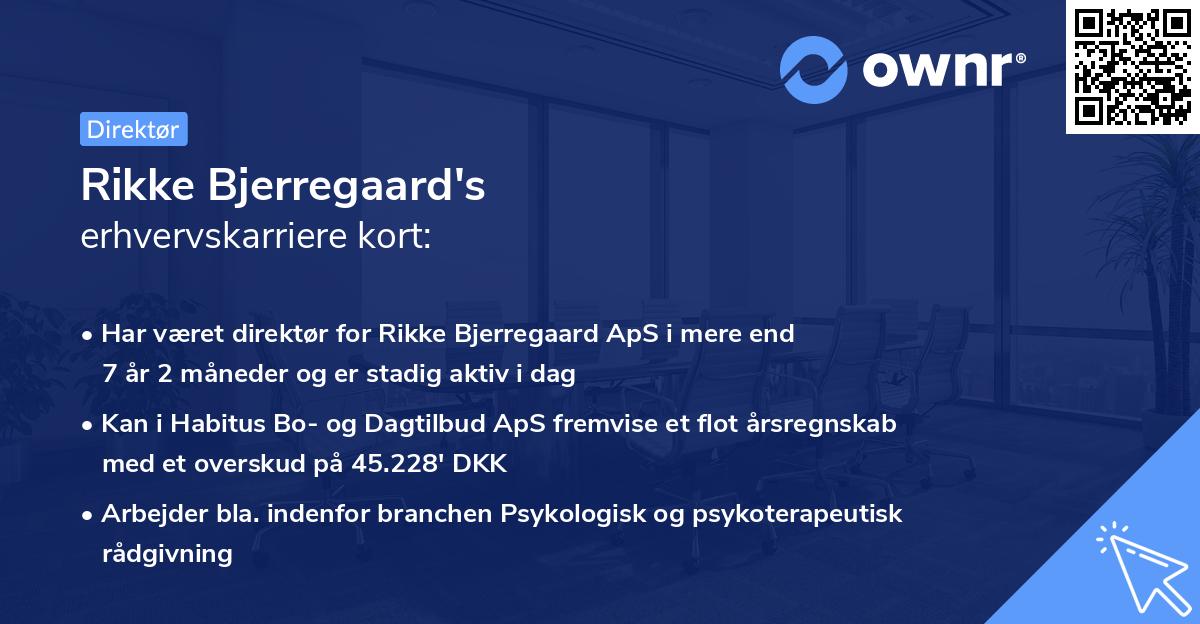 Rikke Bjerregaard's erhvervskarriere kort