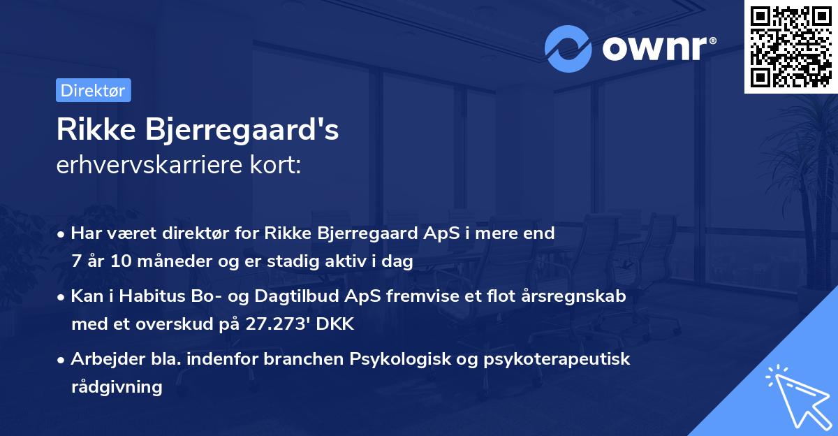 Rikke Bjerregaard's erhvervskarriere kort
