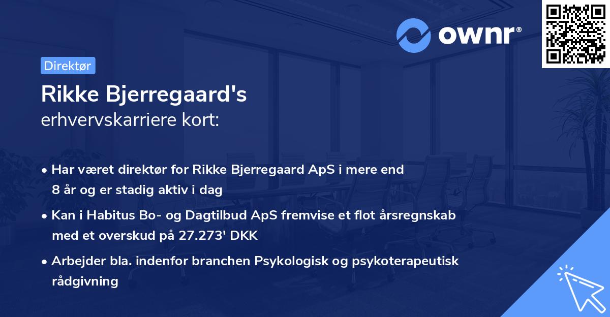 Rikke Bjerregaard's erhvervskarriere kort