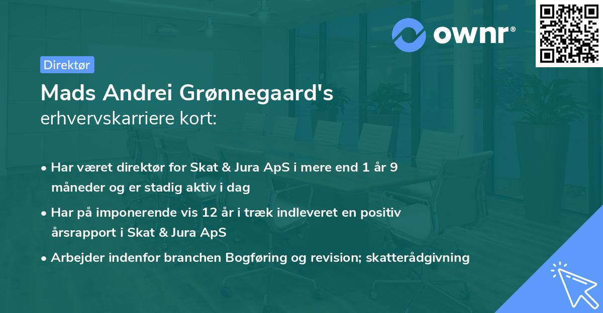 Mads Andrei Grønnegaard's erhvervskarriere kort