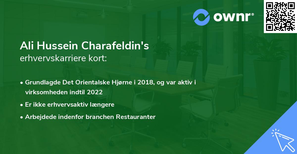 Ali Hussein Charafeldin's erhvervskarriere kort