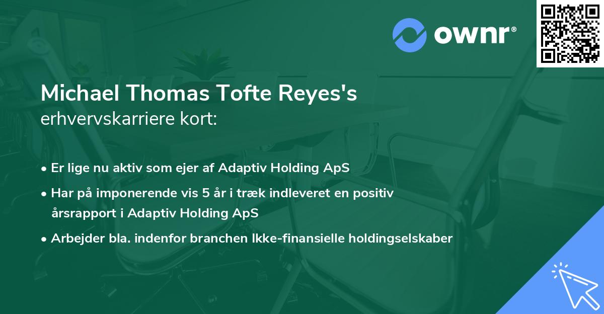 Michael Thomas Tofte Reyes's erhvervskarriere kort