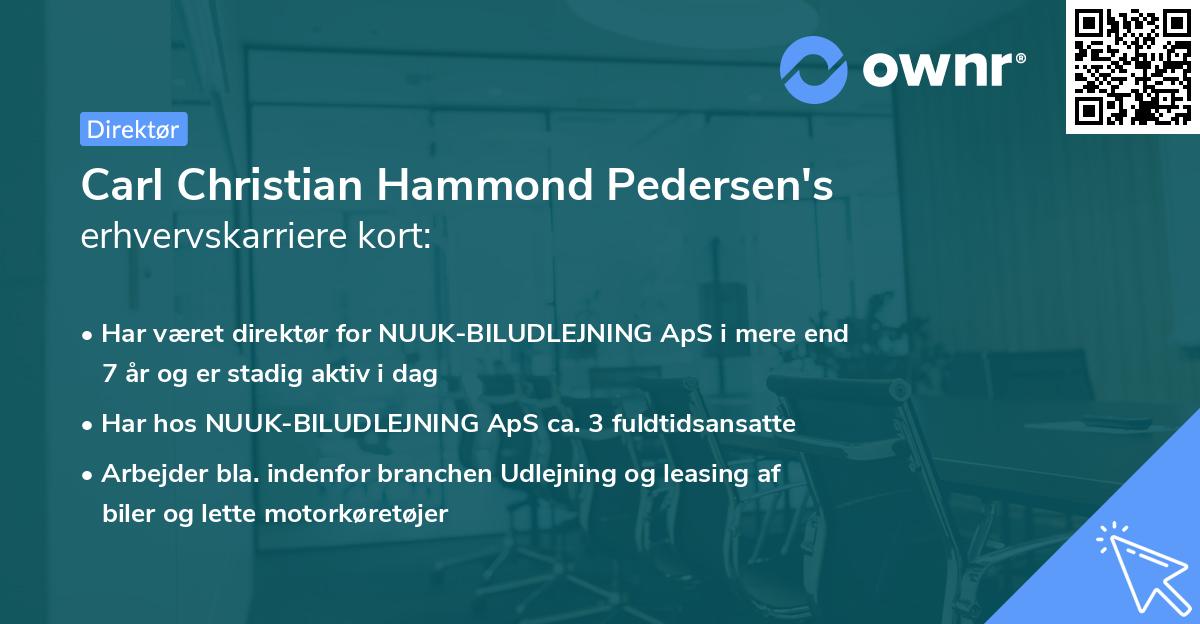 Carl Christian Hammond Pedersen's erhvervskarriere kort