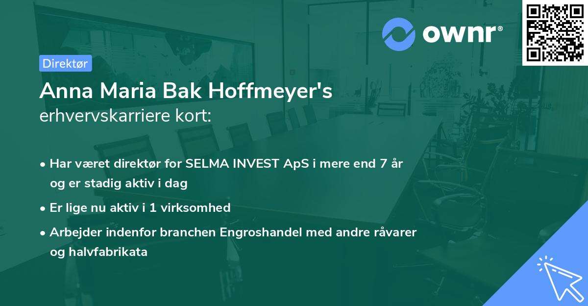 Anna Maria Bak Hoffmeyer's erhvervskarriere kort