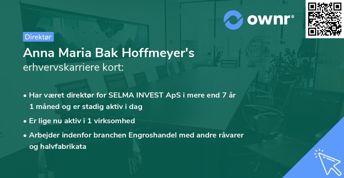 Anna Maria Bak Hoffmeyer's erhvervskarriere kort