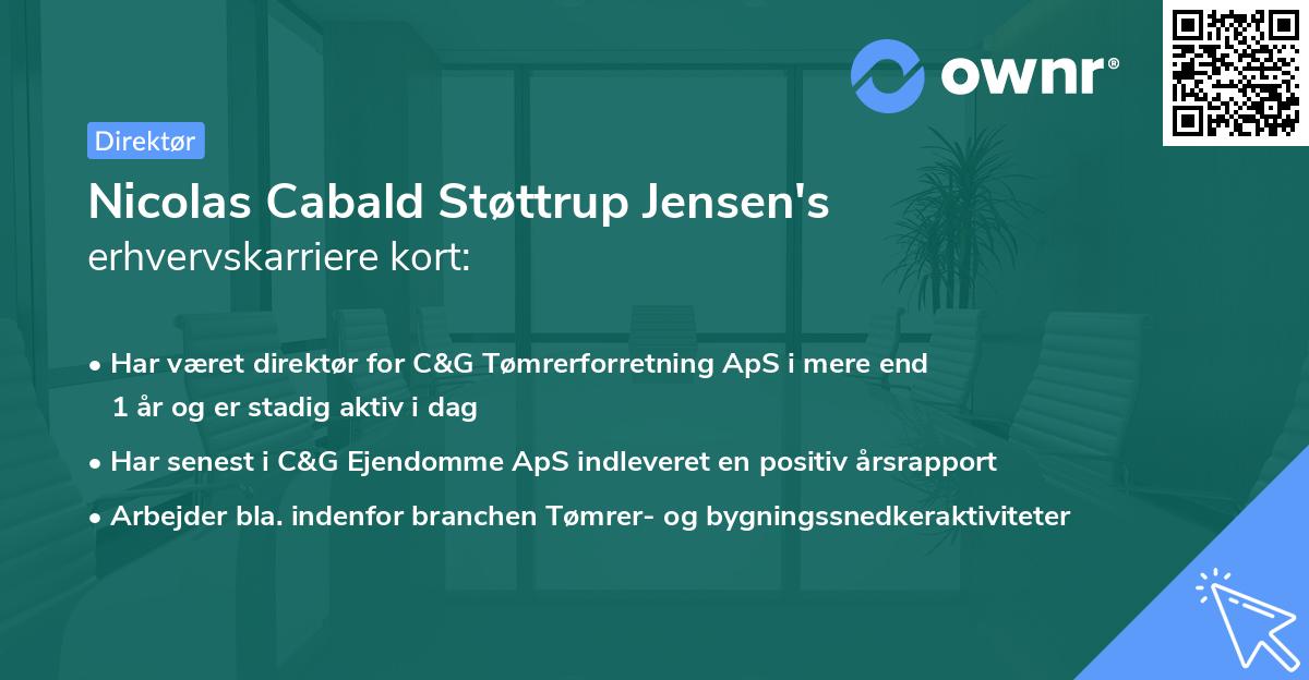Nicolas Cabald Støttrup Jensen's erhvervskarriere kort