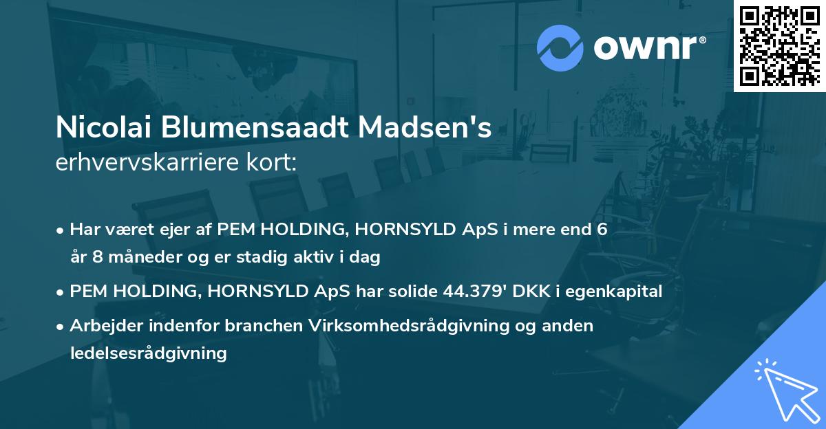 Nicolai Blumensaadt Madsen's erhvervskarriere kort