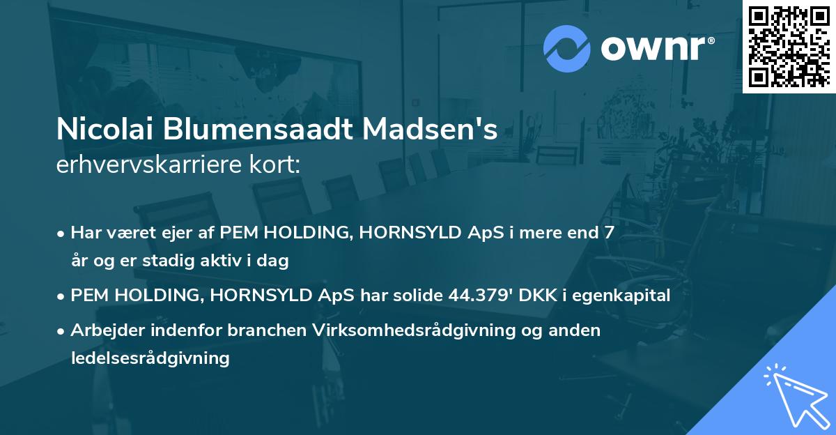 Nicolai Blumensaadt Madsen's erhvervskarriere kort