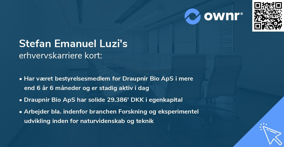Stefan Emanuel Luzi's erhvervskarriere kort