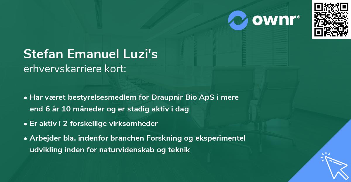 Stefan Emanuel Luzi's erhvervskarriere kort