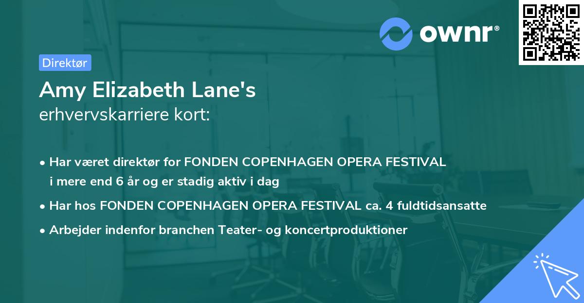 Amy Elizabeth Lane's erhvervskarriere kort