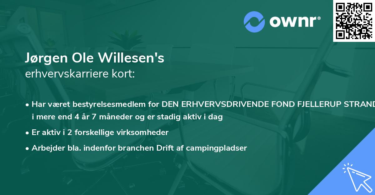 Jørgen Ole Willesen's erhvervskarriere kort