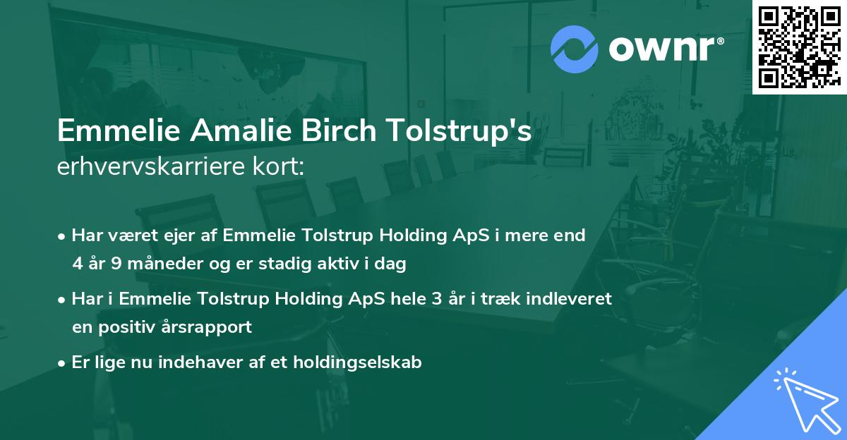 Emmelie Amalie Birch Tolstrup's erhvervskarriere kort