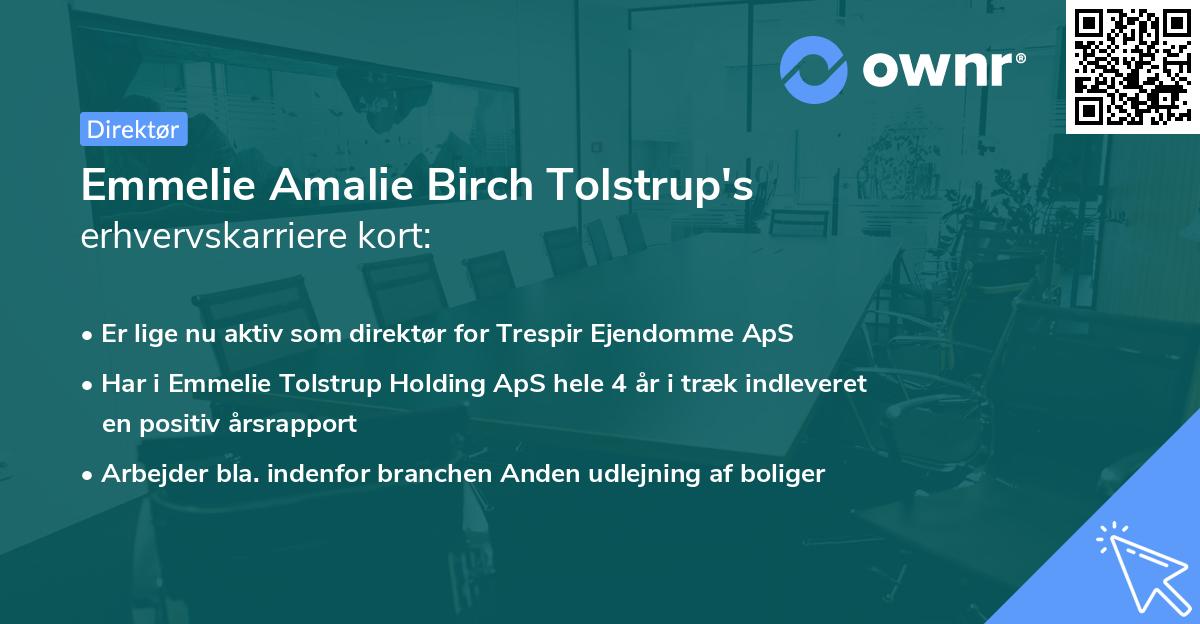 Emmelie Amalie Birch Tolstrup's erhvervskarriere kort