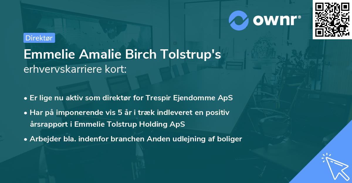 Emmelie Amalie Birch Tolstrup's erhvervskarriere kort