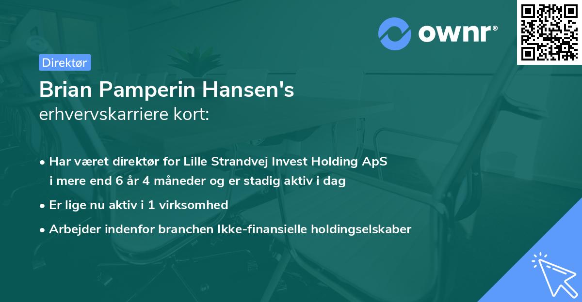 Brian Pamperin Hansen's erhvervskarriere kort