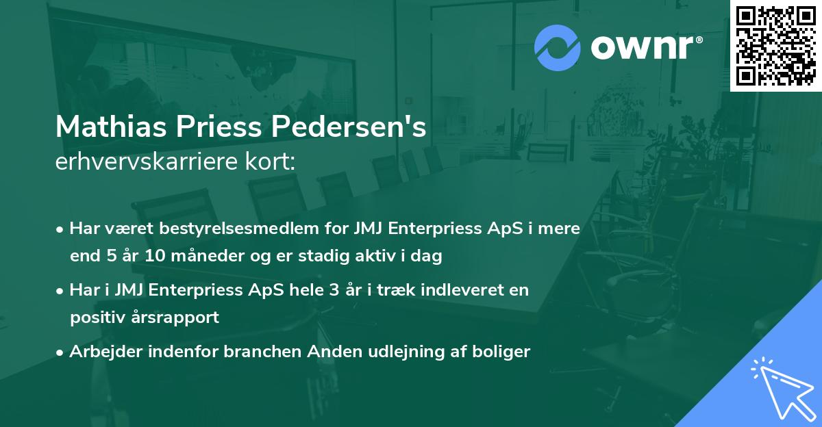 Mathias Priess Pedersen's erhvervskarriere kort
