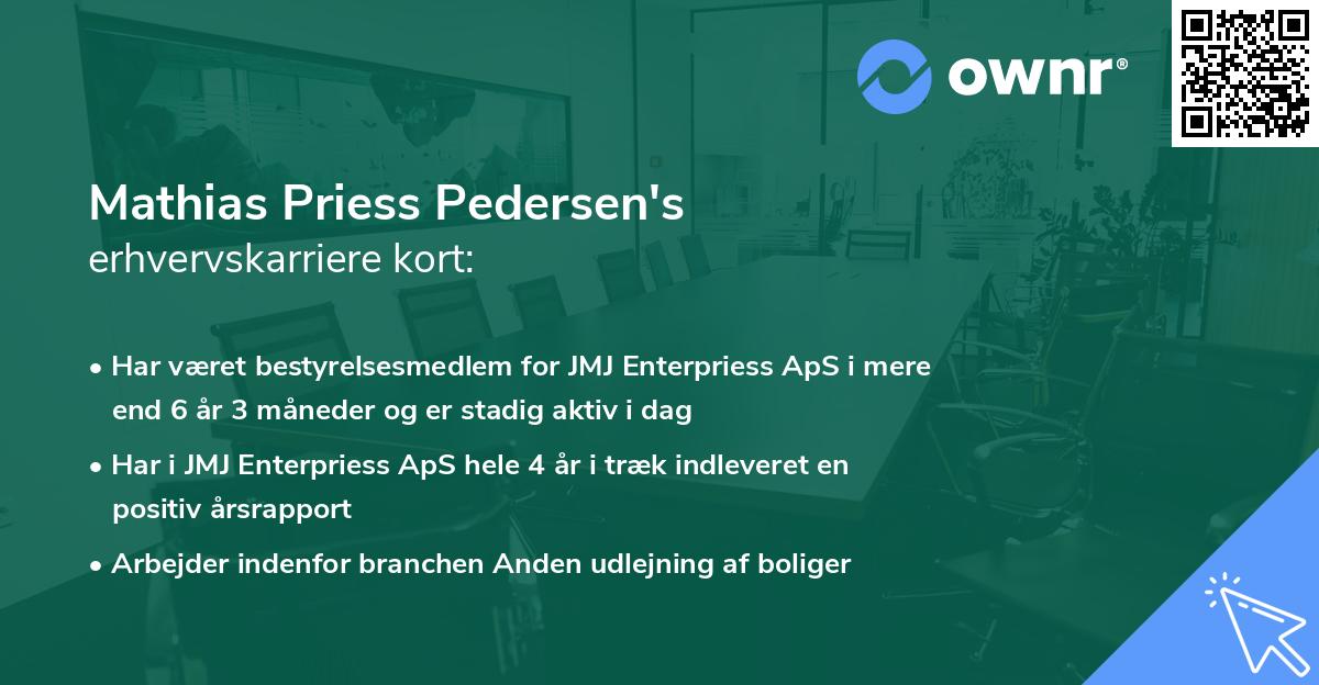 Mathias Priess Pedersen's erhvervskarriere kort