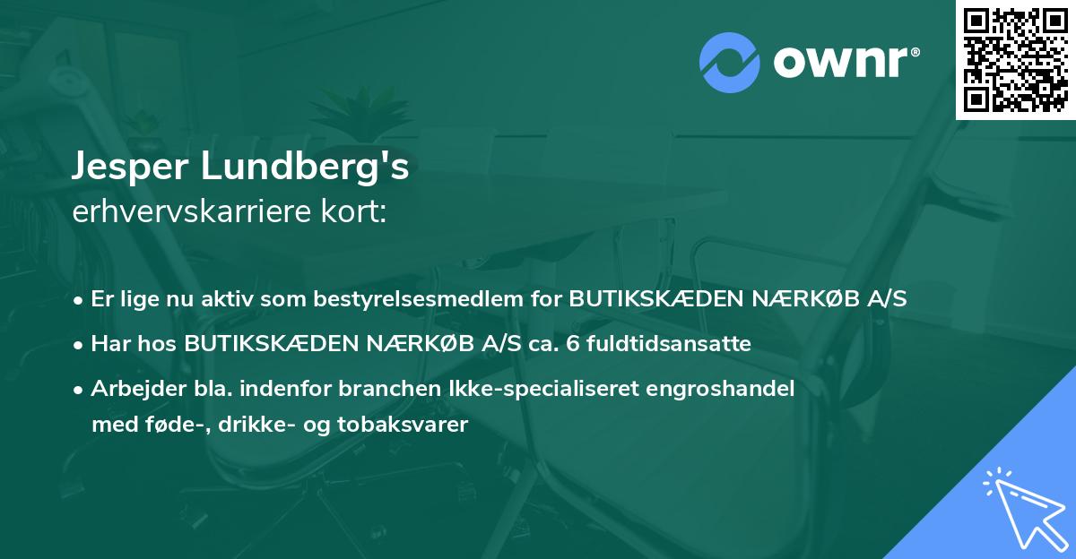 Jesper Lundberg's erhvervskarriere kort