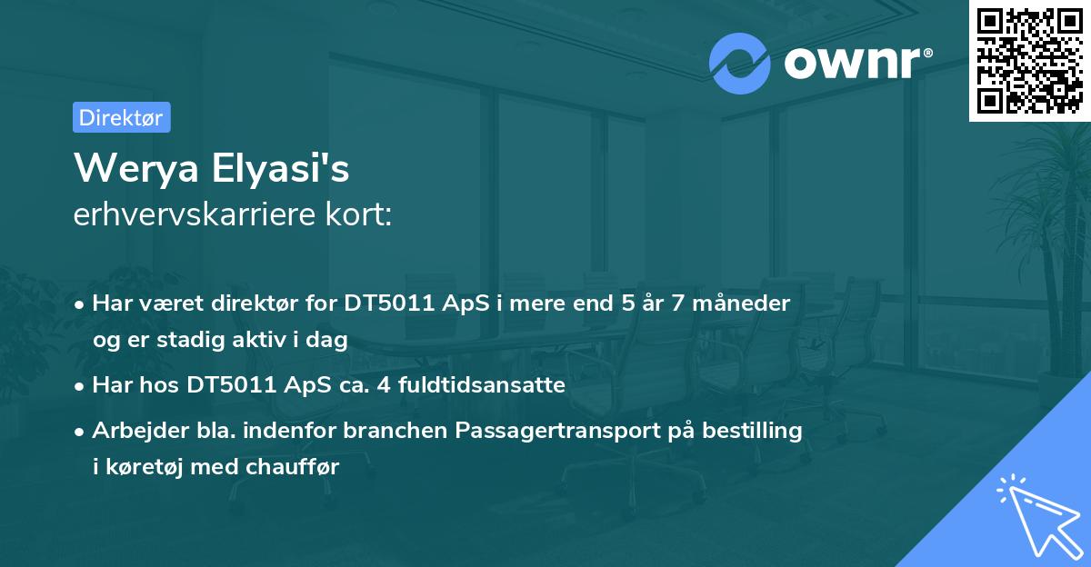 Werya Elyasi's erhvervskarriere kort