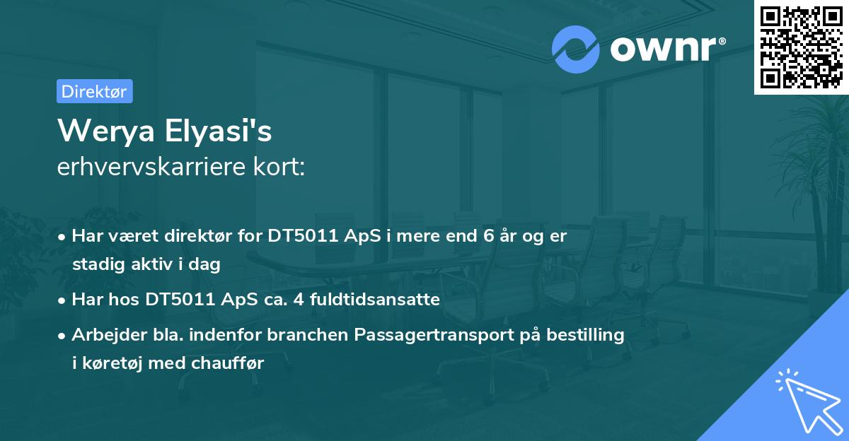 Werya Elyasi's erhvervskarriere kort