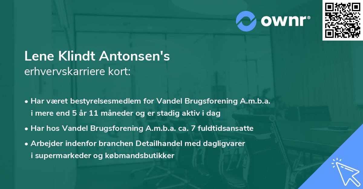 Lene Klindt Antonsen's erhvervskarriere kort