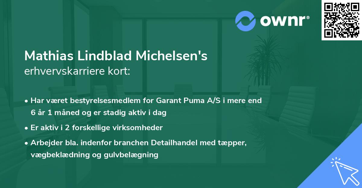 Mathias Lindblad Michelsen's erhvervskarriere kort