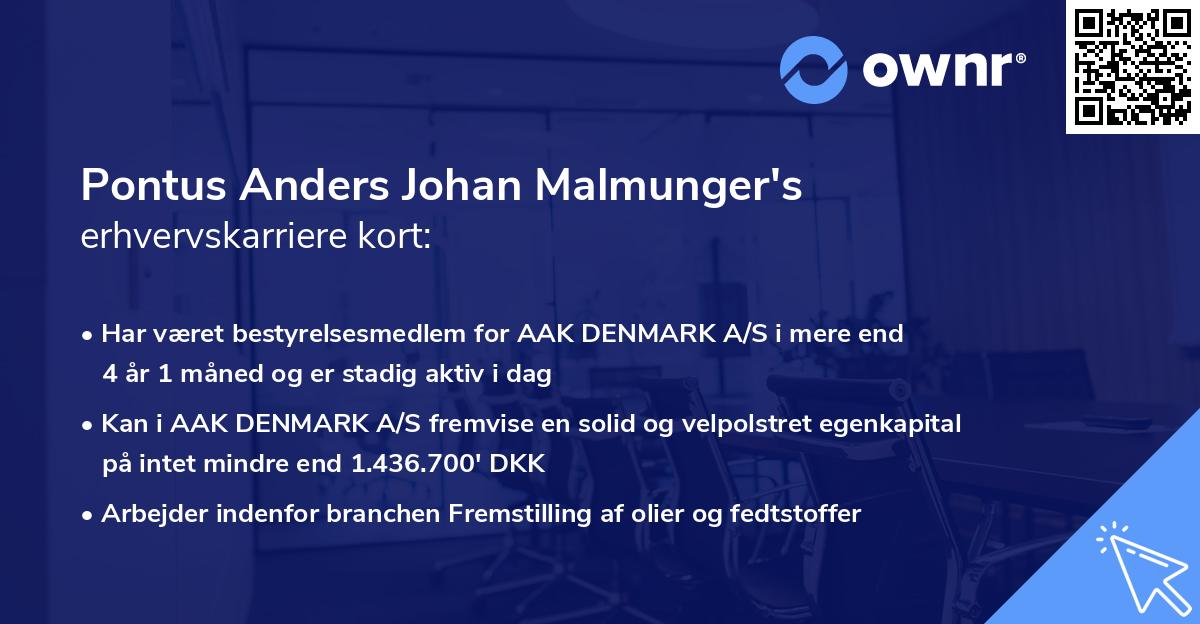 Pontus Anders Johan Malmunger's erhvervskarriere kort