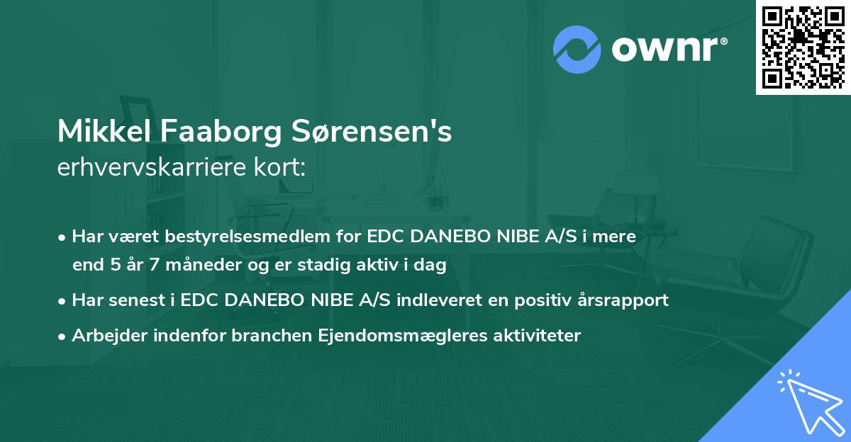 Mikkel Faaborg Sørensen's erhvervskarriere kort
