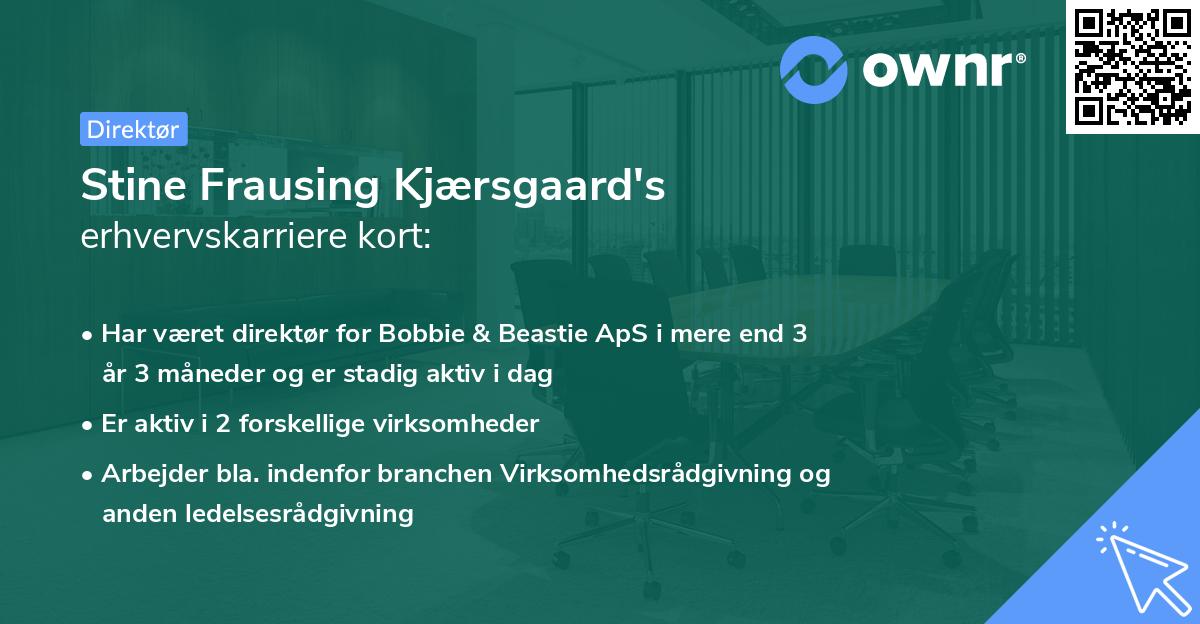 Stine Frausing Kjærsgaard's erhvervskarriere kort