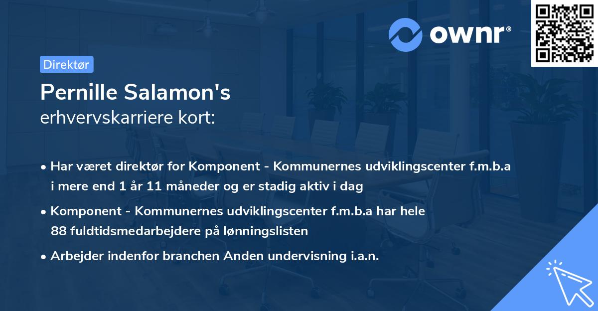 Pernille Salamon's erhvervskarriere kort