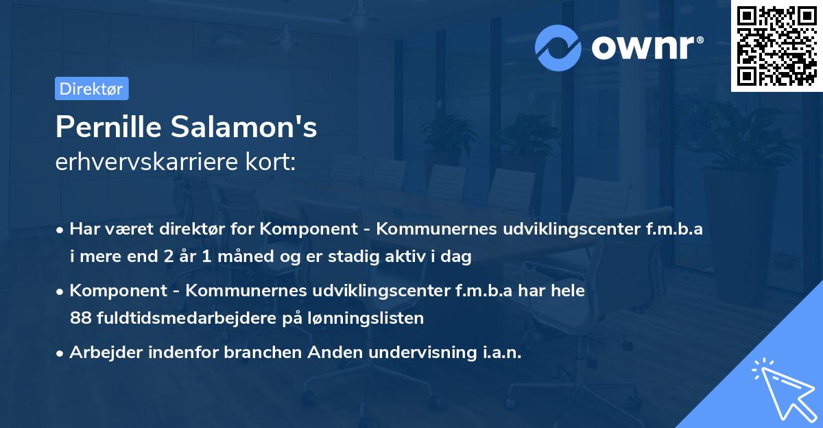 Pernille Salamon's erhvervskarriere kort
