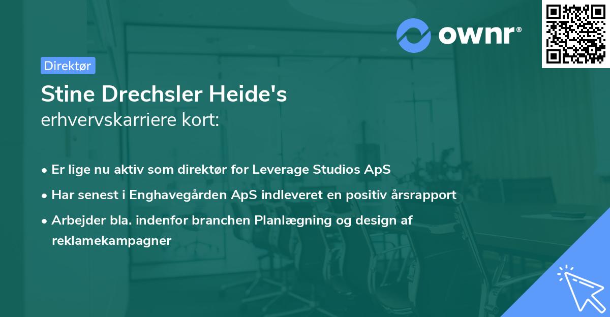 Stine Drechsler Heide's erhvervskarriere kort