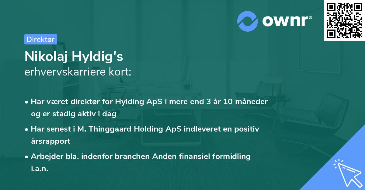 Nikolaj Hyldig's erhvervskarriere kort