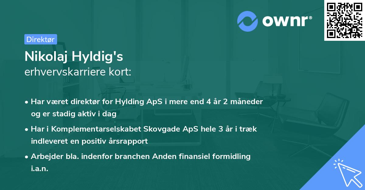 Nikolaj Hyldig's erhvervskarriere kort