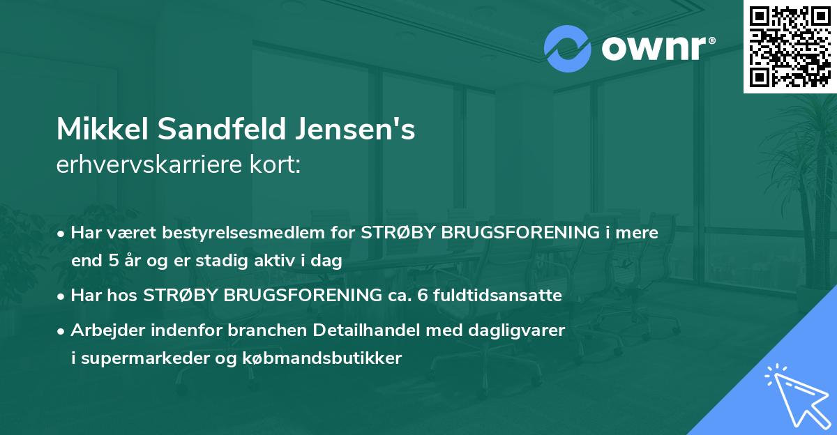 Mikkel Sandfeld Jensen's erhvervskarriere kort