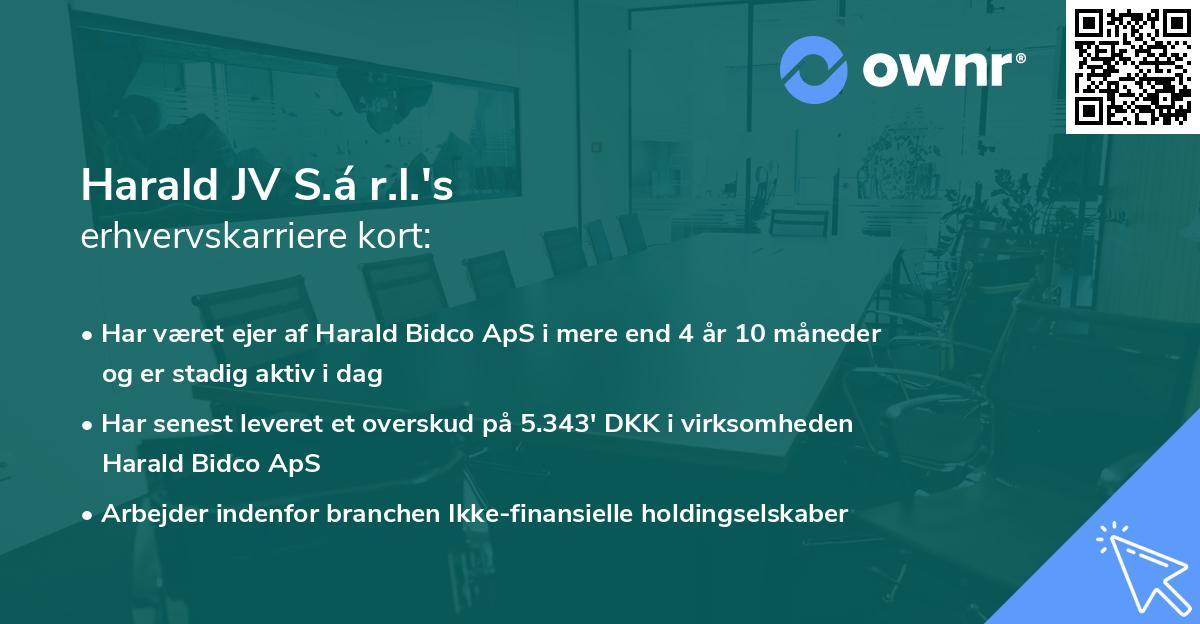 Harald JV S.á r.l.'s erhvervskarriere kort